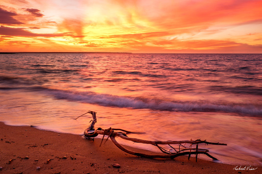 Darwin Harbour sunset landscape art print by Robert Vine — glowing orange sky reflecting on gentle coastal waves with driftwood in the foreground, Australian seascape wall art.