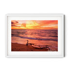 Darwin Harbour sunset landscape art print by Robert Vine — glowing orange sky reflecting on gentle coastal waves with driftwood in the foreground, Australian seascape wall art.