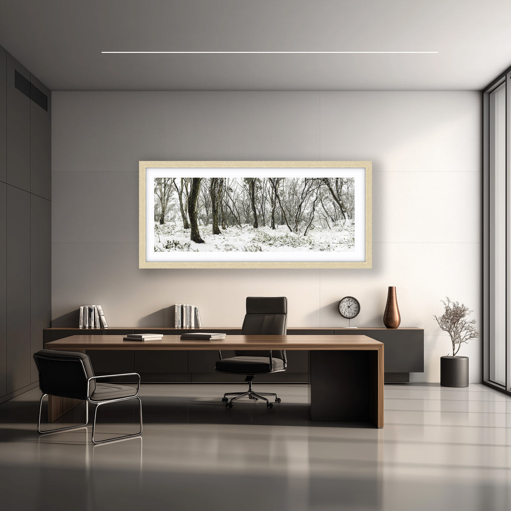 Snow Gums in Winter — Australian Alpine Landscape Photography by Robert Vine | Fine Art Print