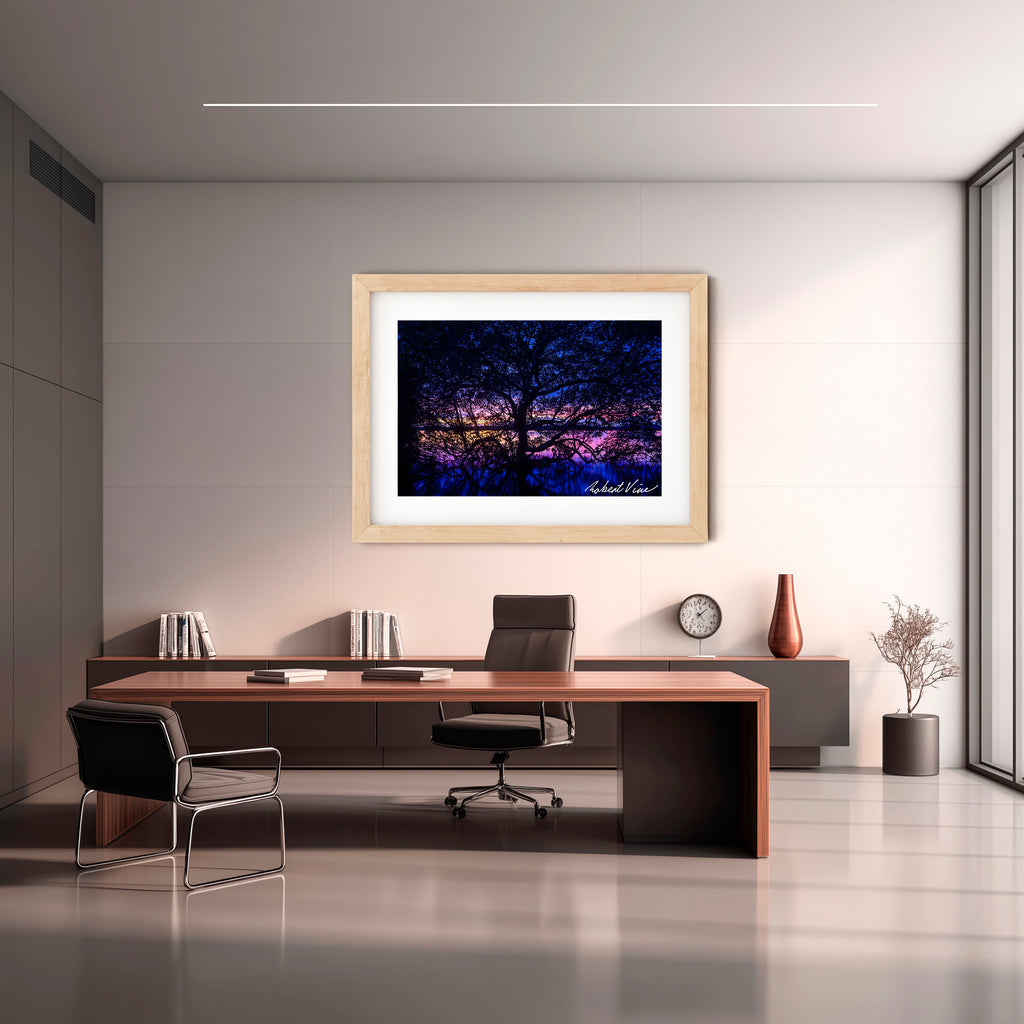 Twilight Mangrove, Lemon Tree Passage – Limited Edition Framed Print