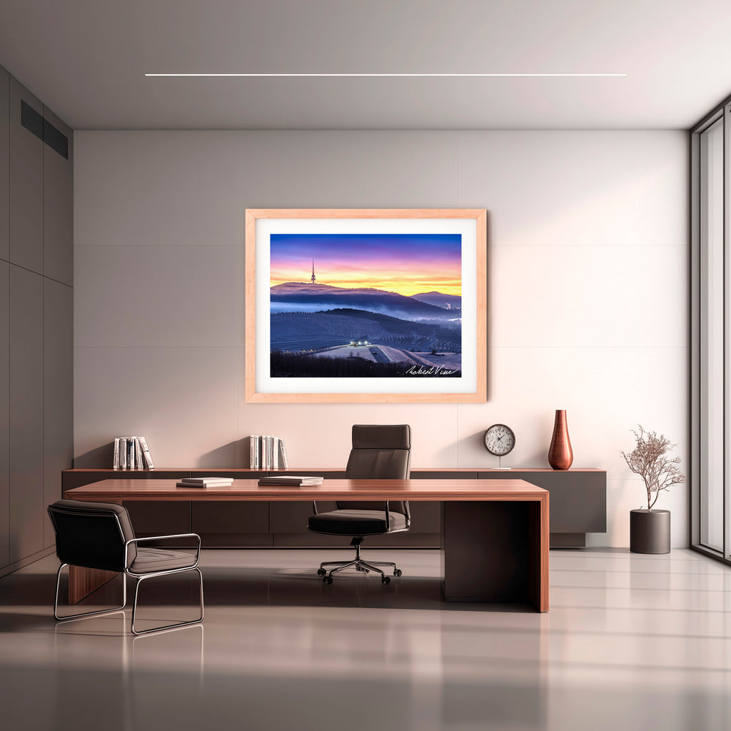 Winter Veil Over the Arboretum – Limited Edition Framed Print