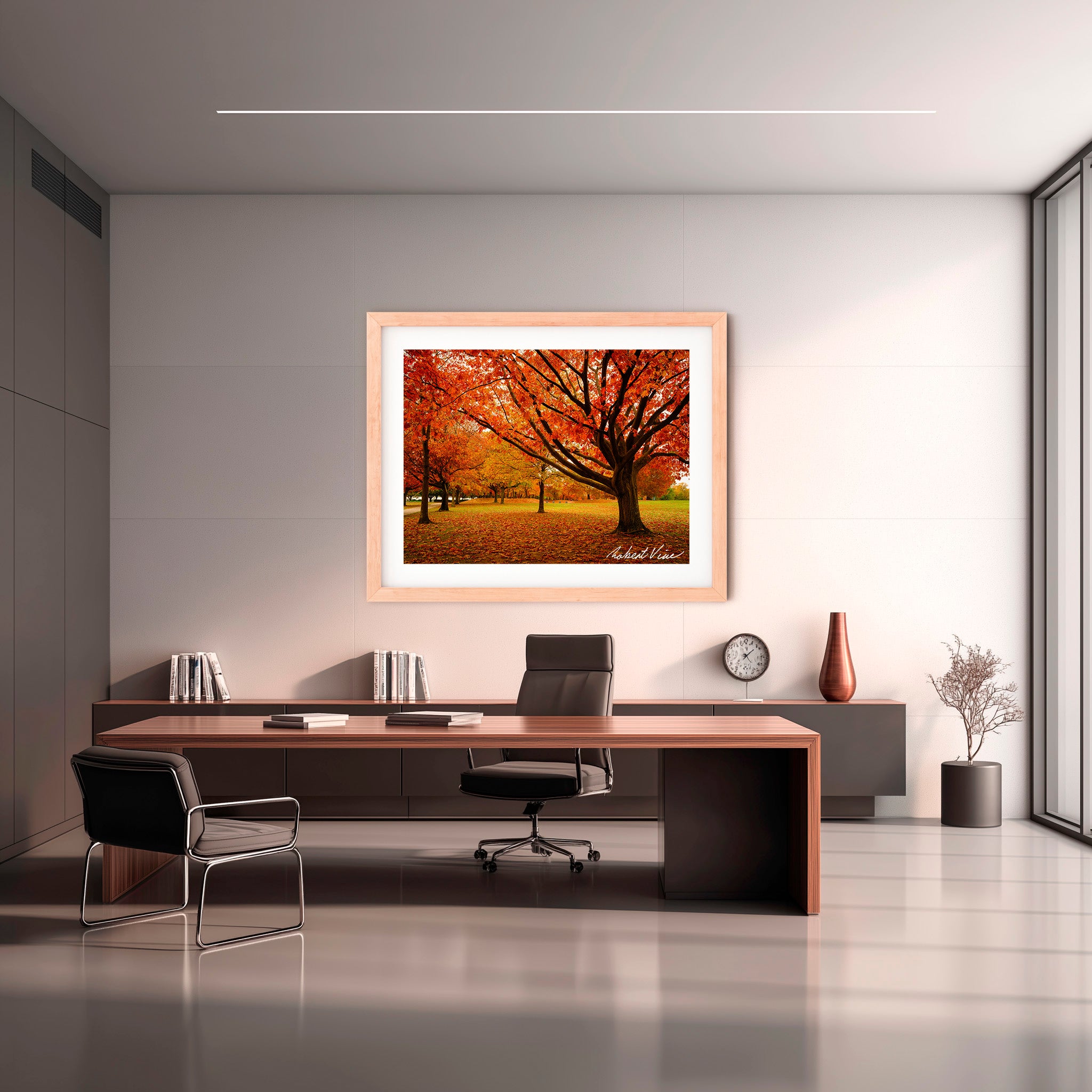 Autumn Glow in Canberra – Majestic Maple Trees Landscape Art By Robert Vine