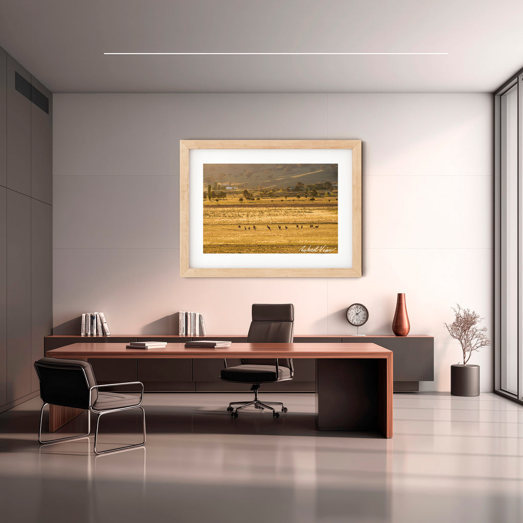 Golden Run — Googong at Sunset | Limited Edition Framed Art Print