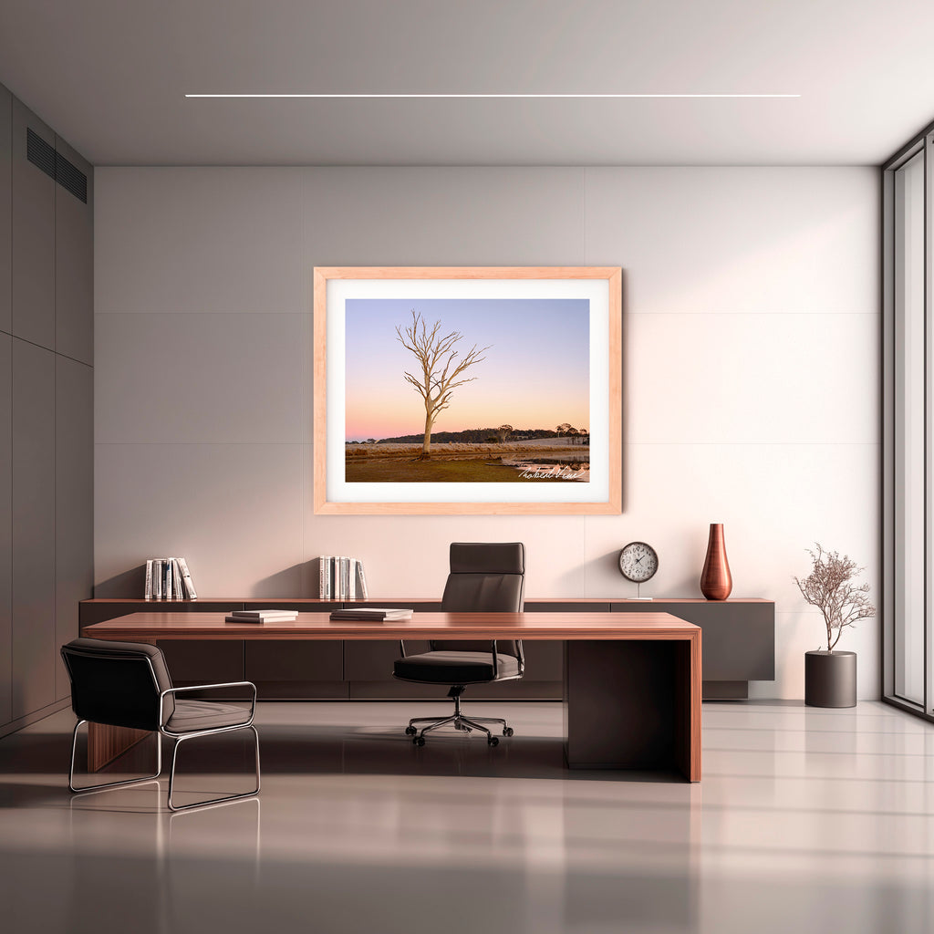 Winter Sentinel — Mulligans Flat Wetlands Limited Edition Framed Print
