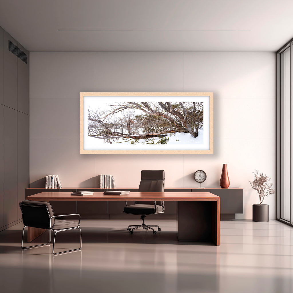 Snow Gum Tapestry – Perisher | Limited Edition Framed Landscape Print by Robert Vine