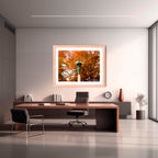 Autumn Lantern | Limited Edition Framed Print of Queanbeyan Park
