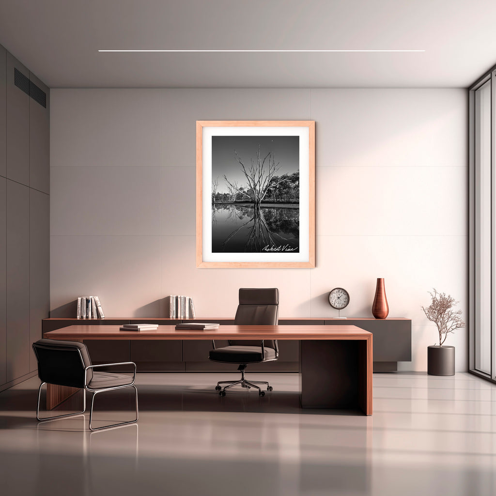 Reflections of Silence – Mulligans Flat Wetlands Limited Edition Framed Print