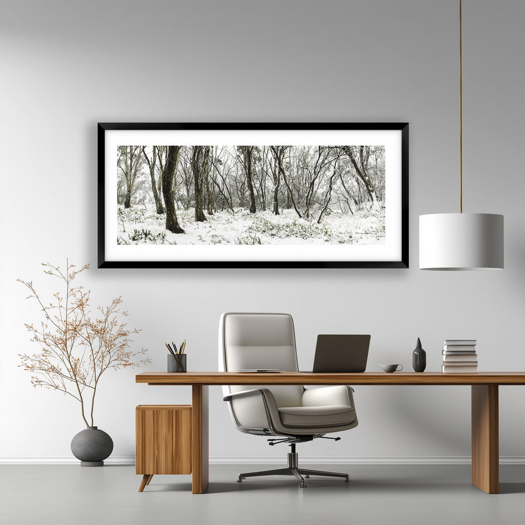 Snow Gums in Winter — Australian Alpine Landscape Photography by Robert Vine | Fine Art Print