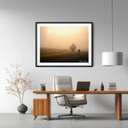 Morning Companion — Royalla Fog Walk | Limited Edition Framed Print