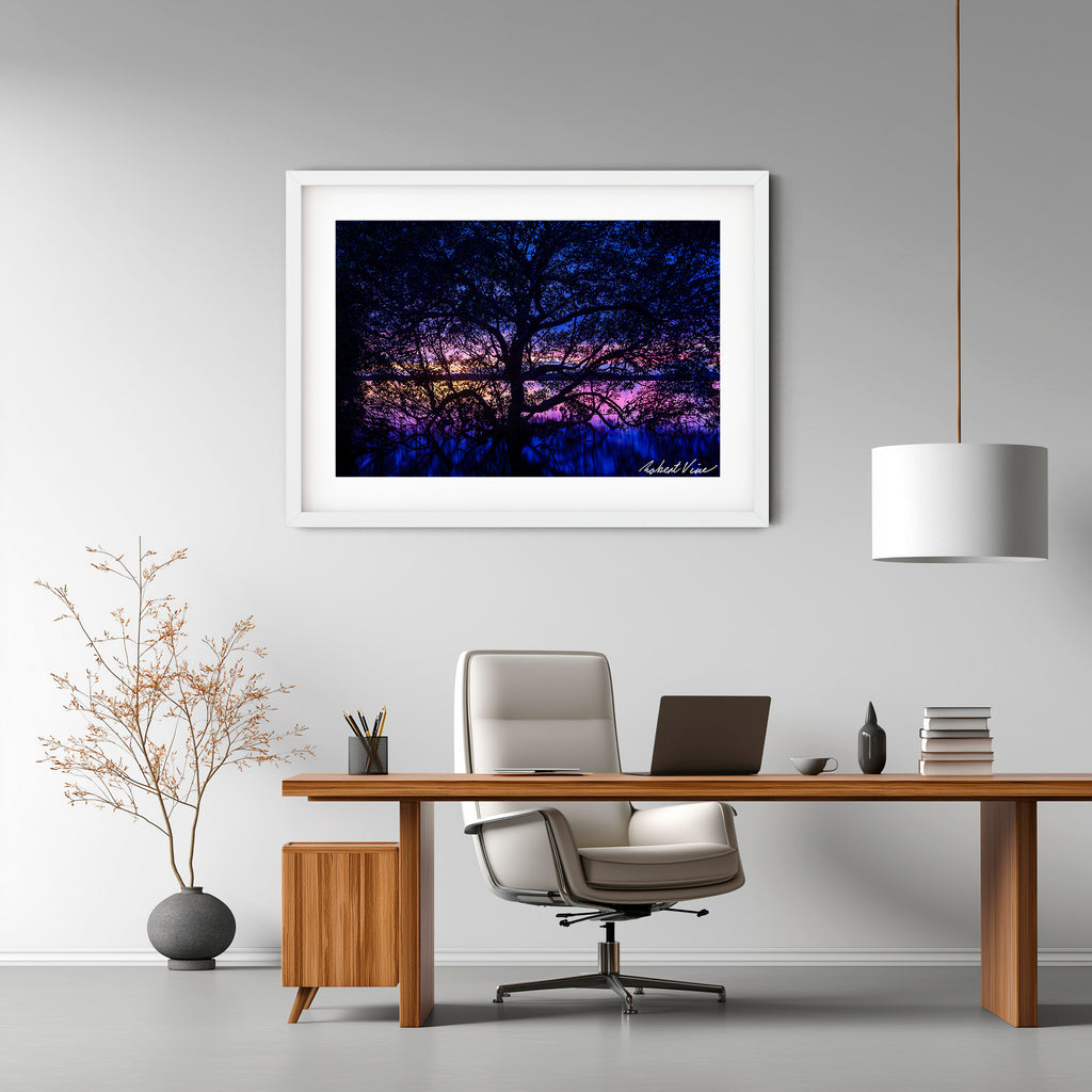 Twilight Mangrove, Lemon Tree Passage – Limited Edition Framed Print