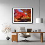 Crimson Avenue | Limited Edition Framed Autumn Print of Queanbeyan
