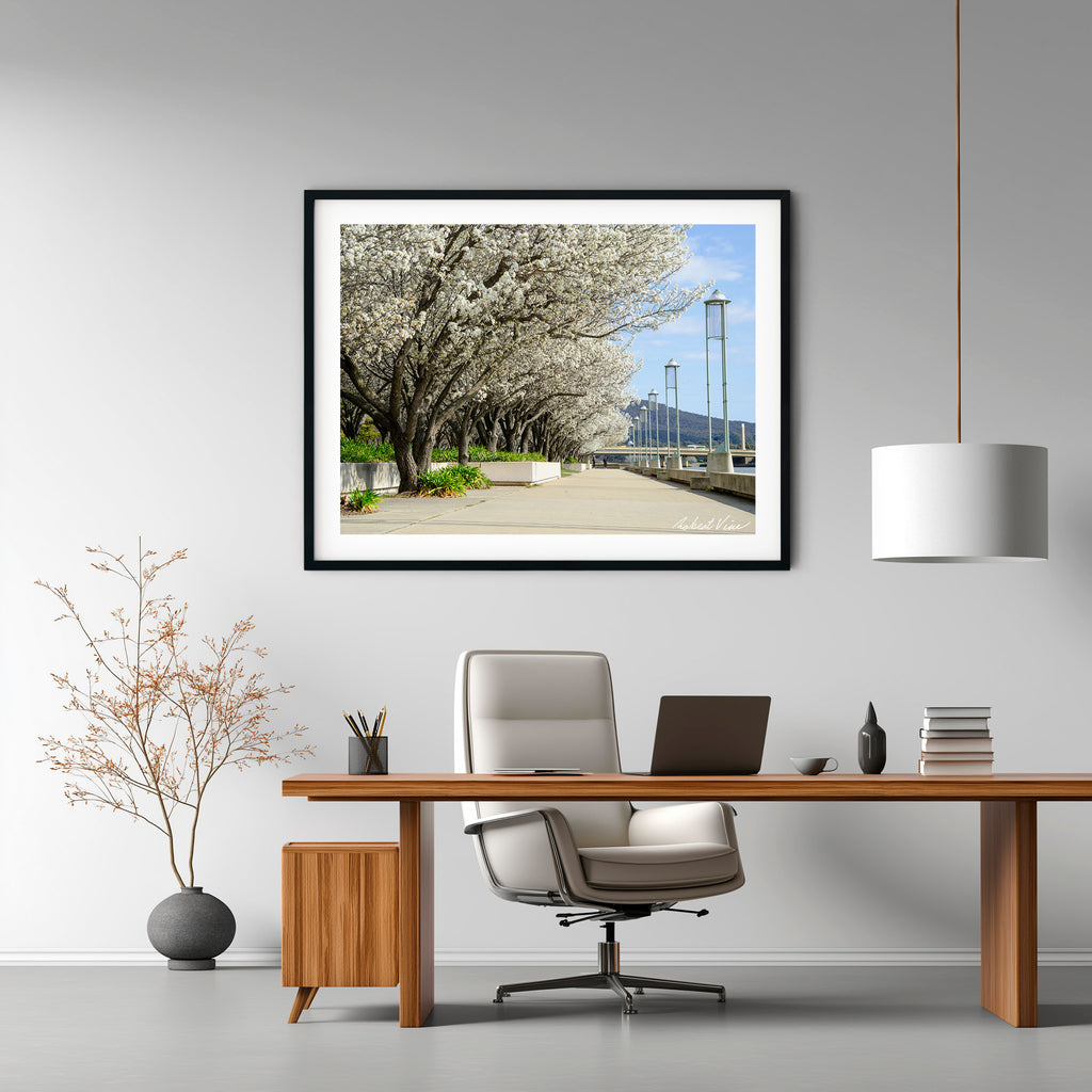 Blossoms Along the Lake – Limited Edition Framed Art Print