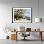 Blossoms Along the Lake – Limited Edition Framed Art Print