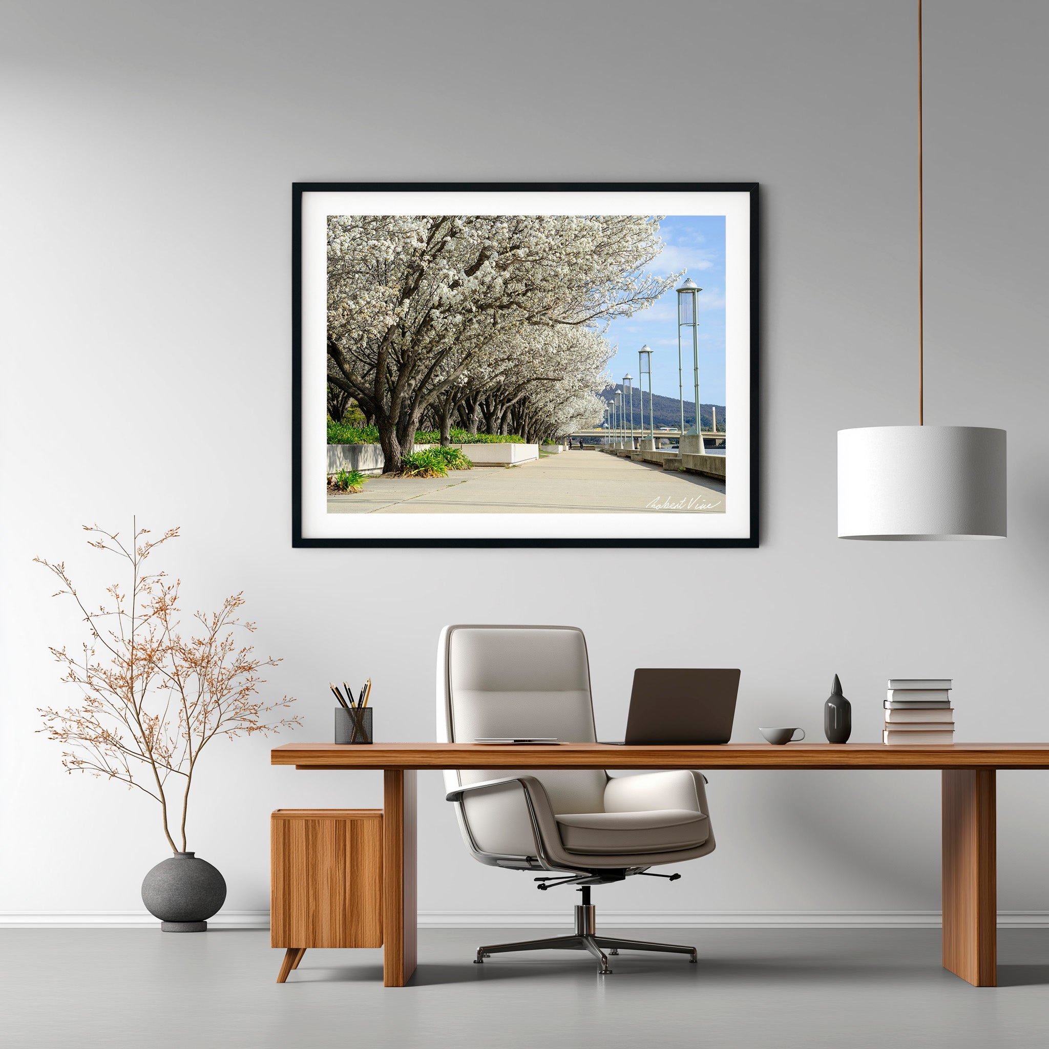Blossoms Along the Lake – Limited Edition Framed Art Print