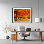 Crimson Canopy | Limited Edition Framed Print of Queanbeyan Park