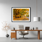 Autumn Boulevard | Limited Edition Framed Print of Queanbeyan