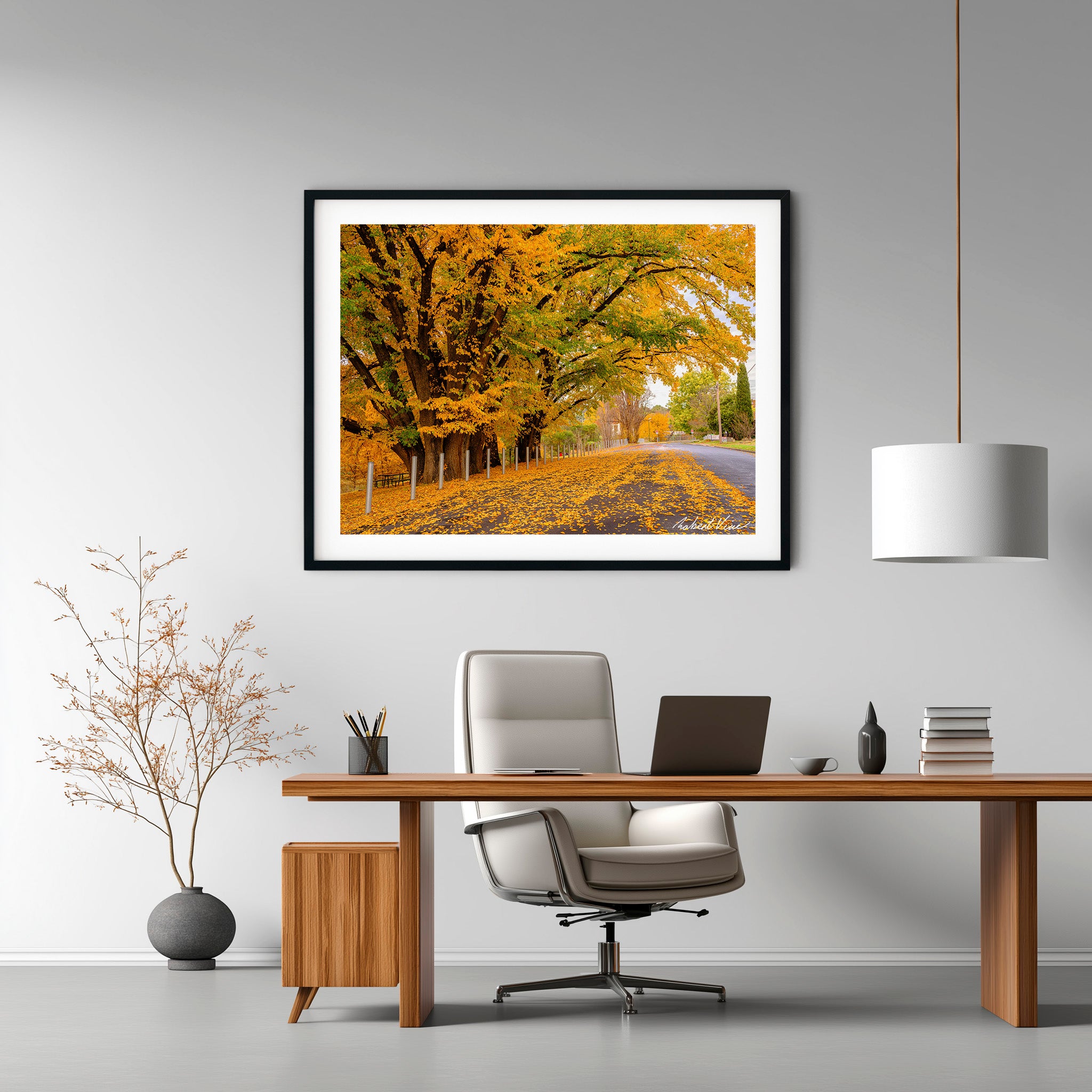 Autumn Boulevard | Limited Edition Framed Print of Queanbeyan