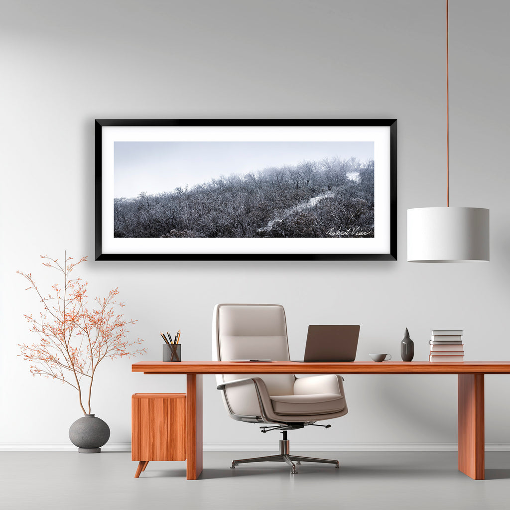 Snowfall in the Bare Eucalypts – Mount Selwyn Landscape Art Print by Robert Vine
