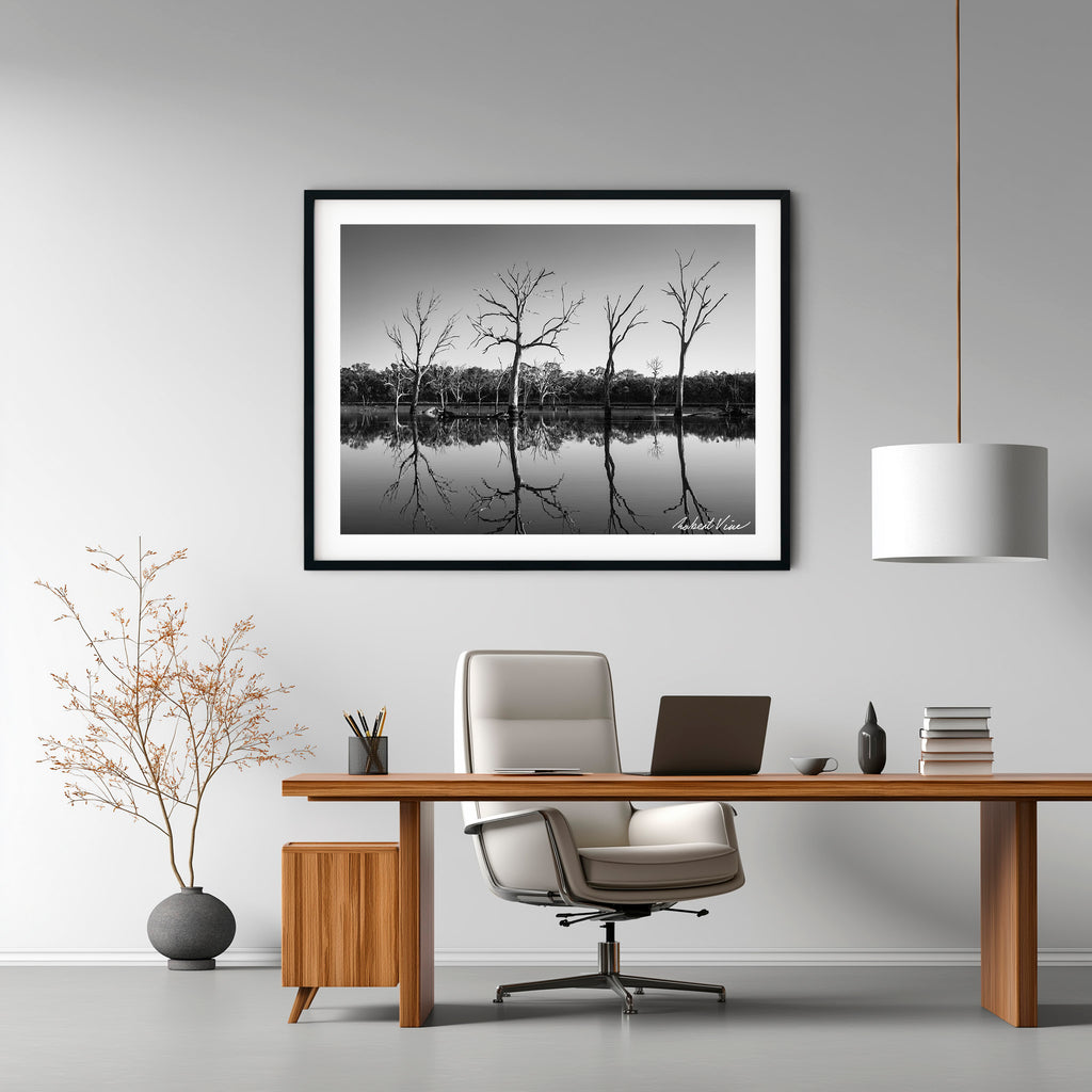 Silent Reflections – Mulligans Flat Wetlands Limited Edition Framed Art Print