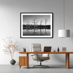 Silent Reflections – Mulligans Flat Wetlands Limited Edition Framed Art Print