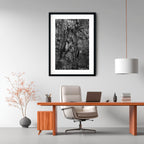 After the Fire, Tanilba Bay – Limited Edition Framed Print