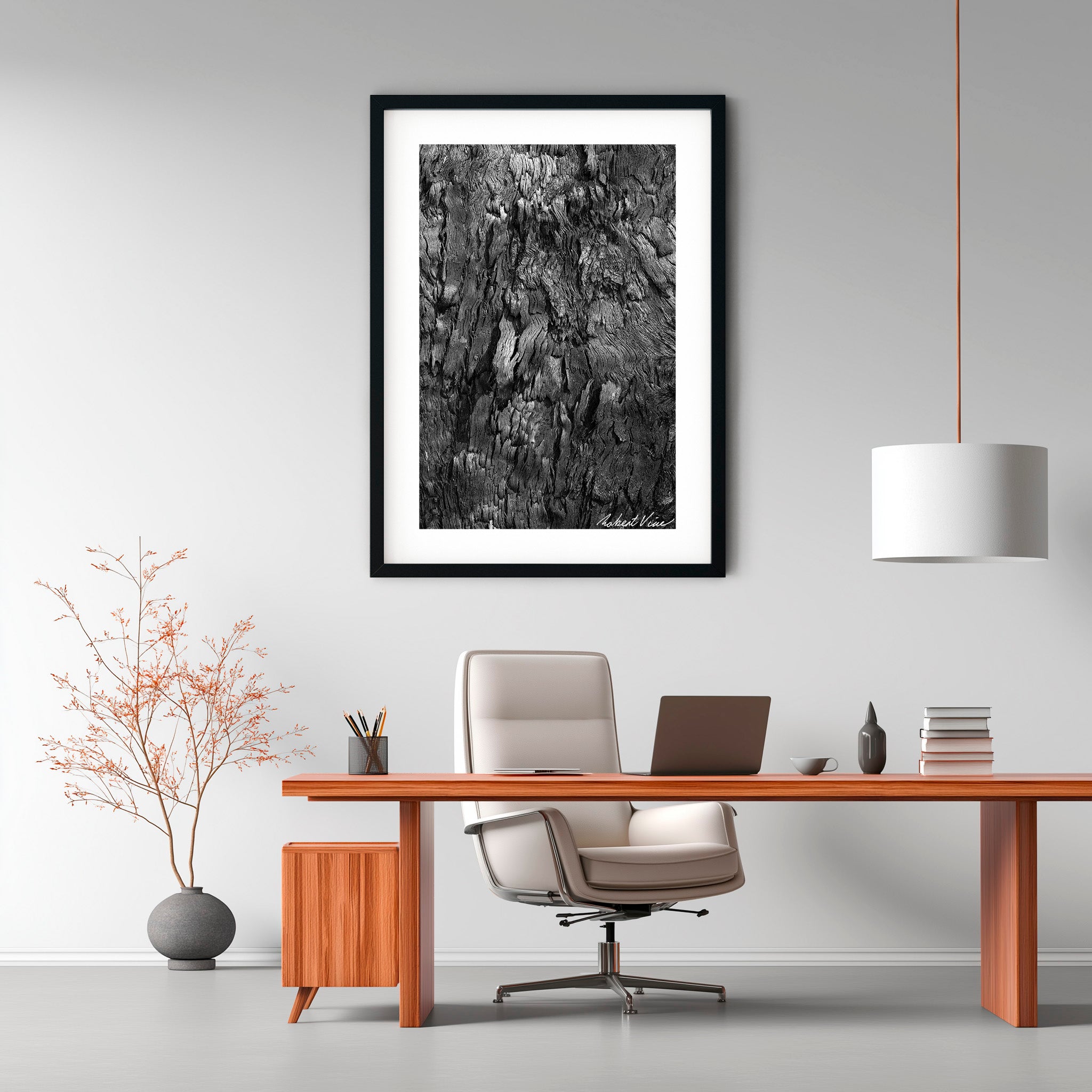 After the Fire, Tanilba Bay – Limited Edition Framed Print