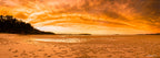 Limited edition framed panoramic photograph of Tanilba Bay, Port Stephens at sunset by Australian landscape photographer Robert Vine, with golden sky and tidal flats.