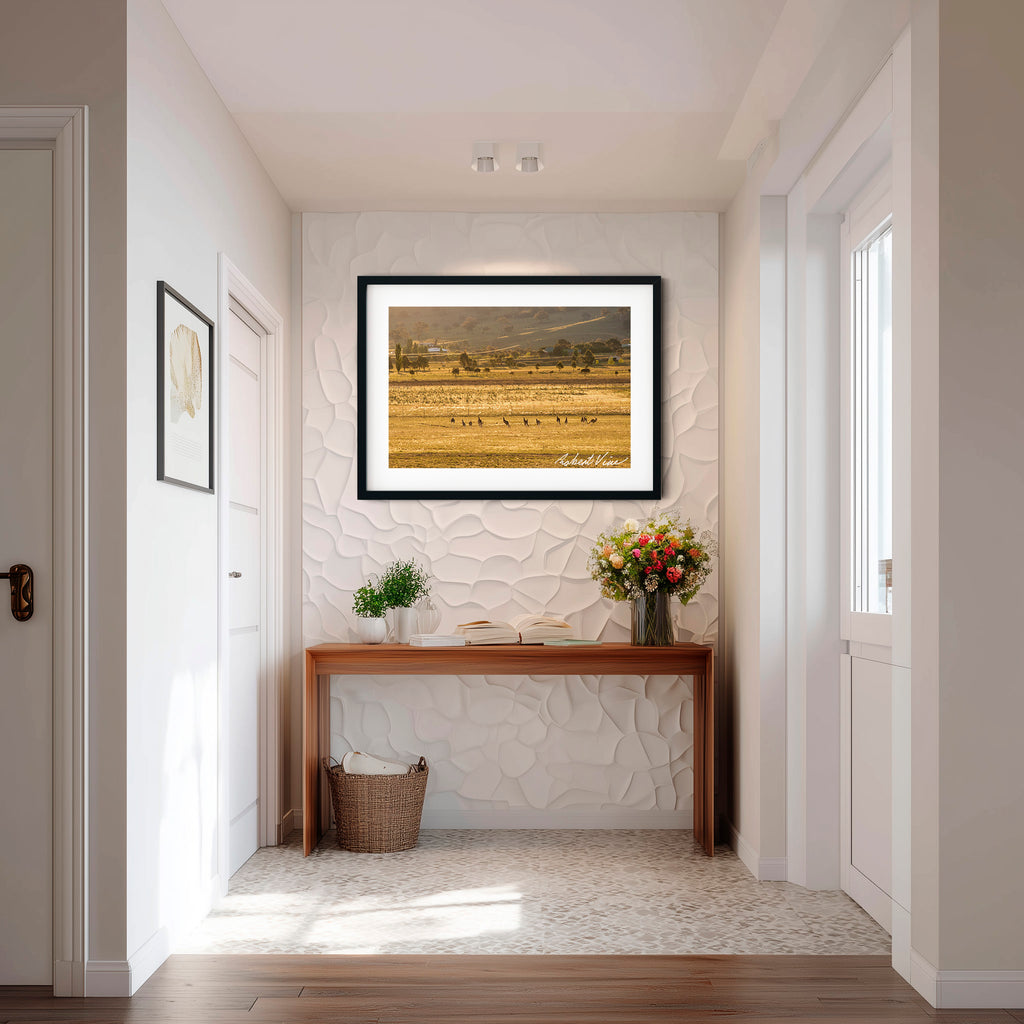 Golden Run — Googong at Sunset | Limited Edition Framed Art Print