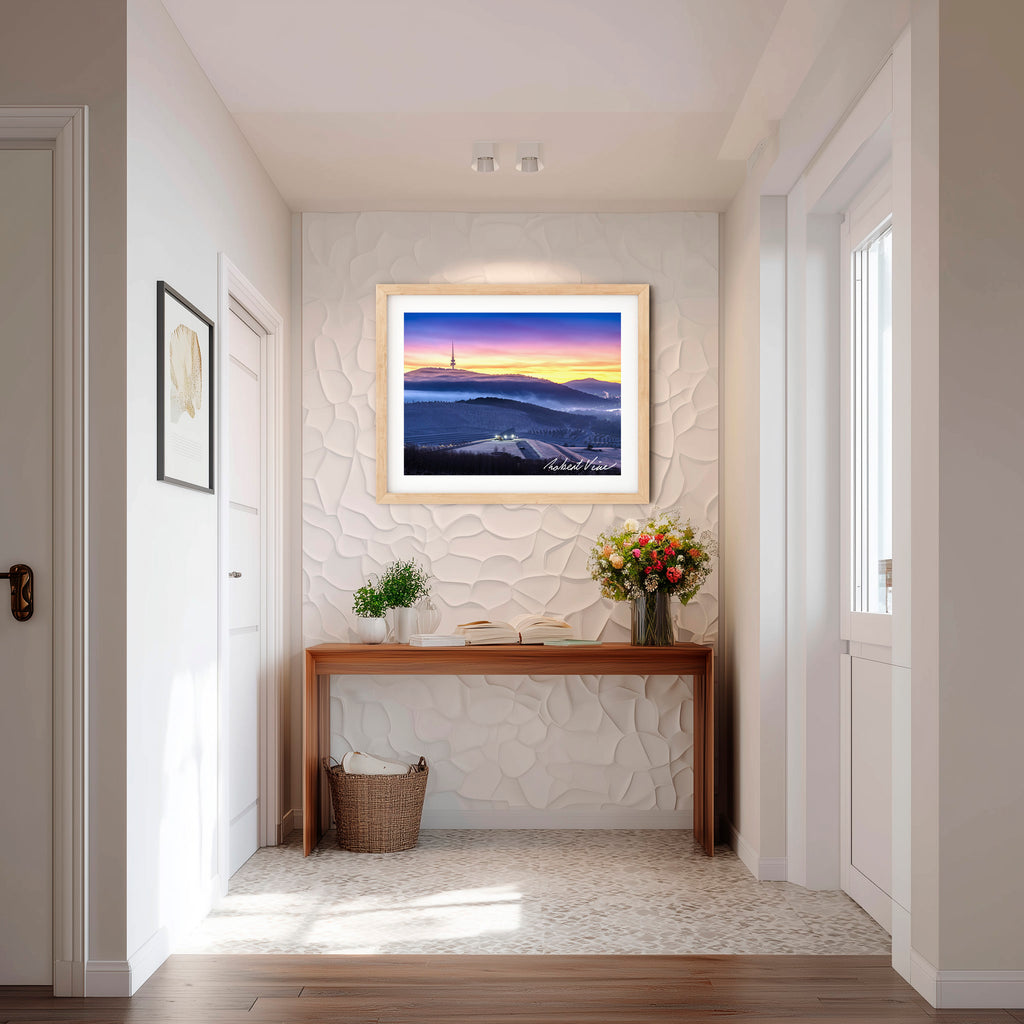 Winter Veil Over the Arboretum – Limited Edition Framed Print