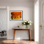 Crimson Canopy | Limited Edition Framed Print of Queanbeyan Park