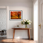 Autumn Glow in Canberra – Majestic Maple Trees Landscape Art By Robert Vine