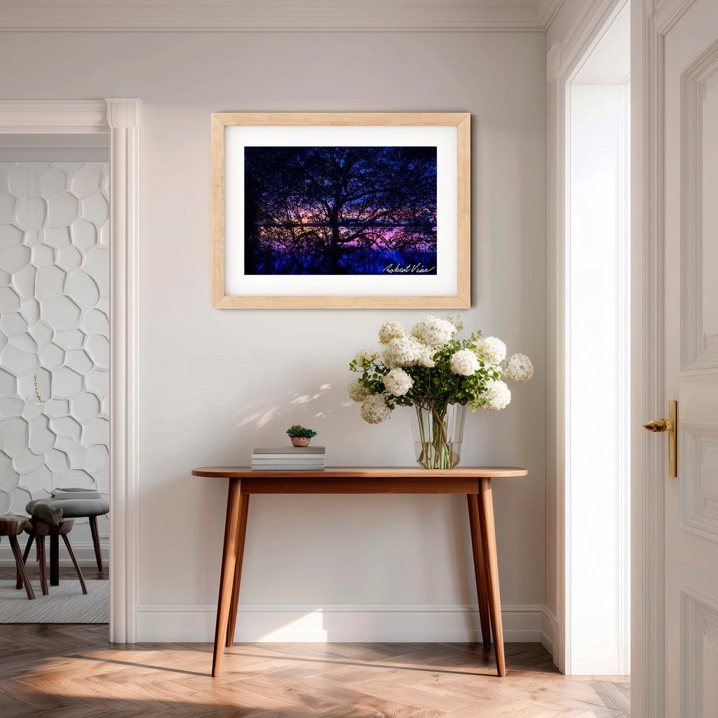 Twilight Mangrove, Lemon Tree Passage – Limited Edition Framed Print