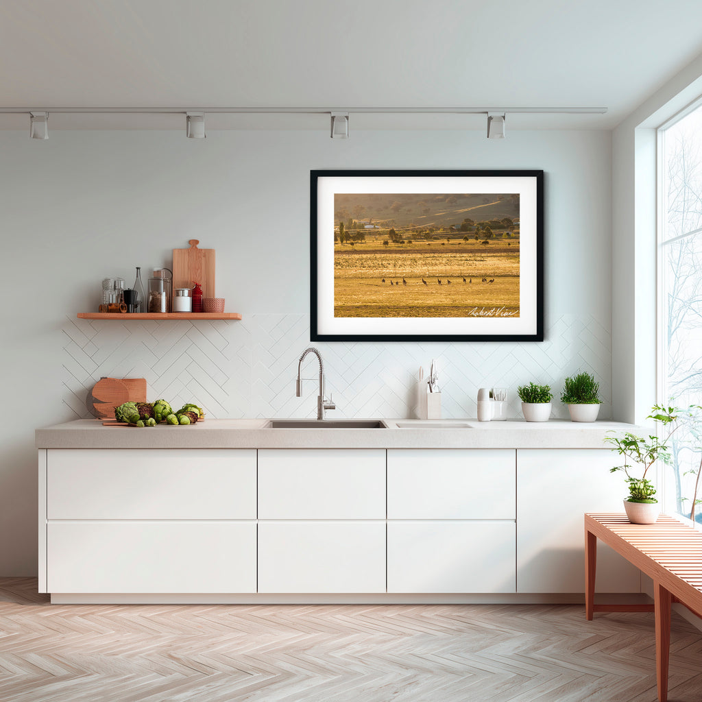 Golden Run — Googong at Sunset | Limited Edition Framed Art Print