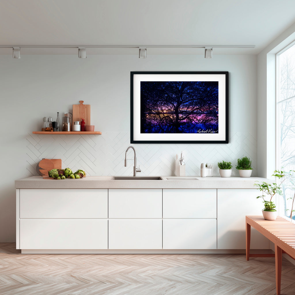 Twilight Mangrove, Lemon Tree Passage – Limited Edition Framed Print