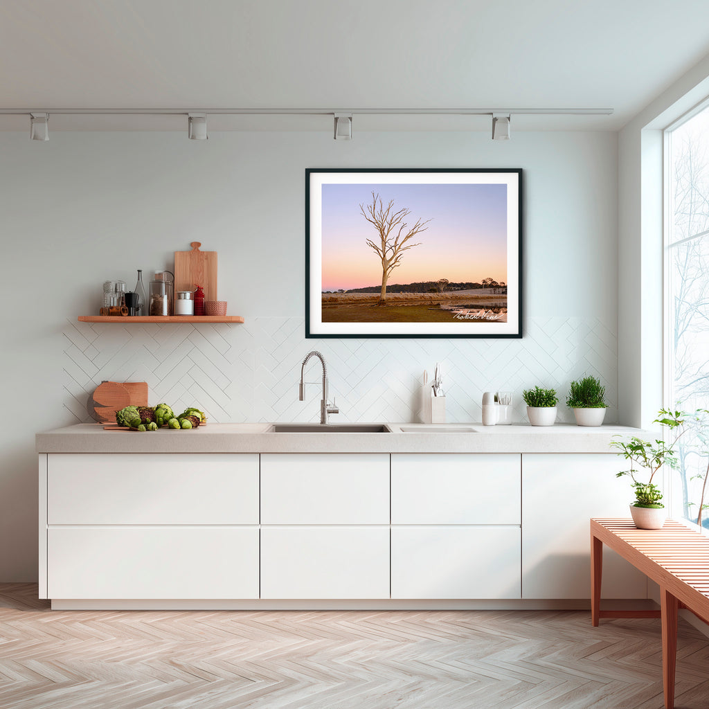 Winter Sentinel — Mulligans Flat Wetlands Limited Edition Framed Print