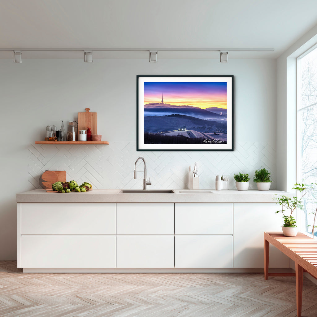 Winter Veil Over the Arboretum – Limited Edition Framed Print