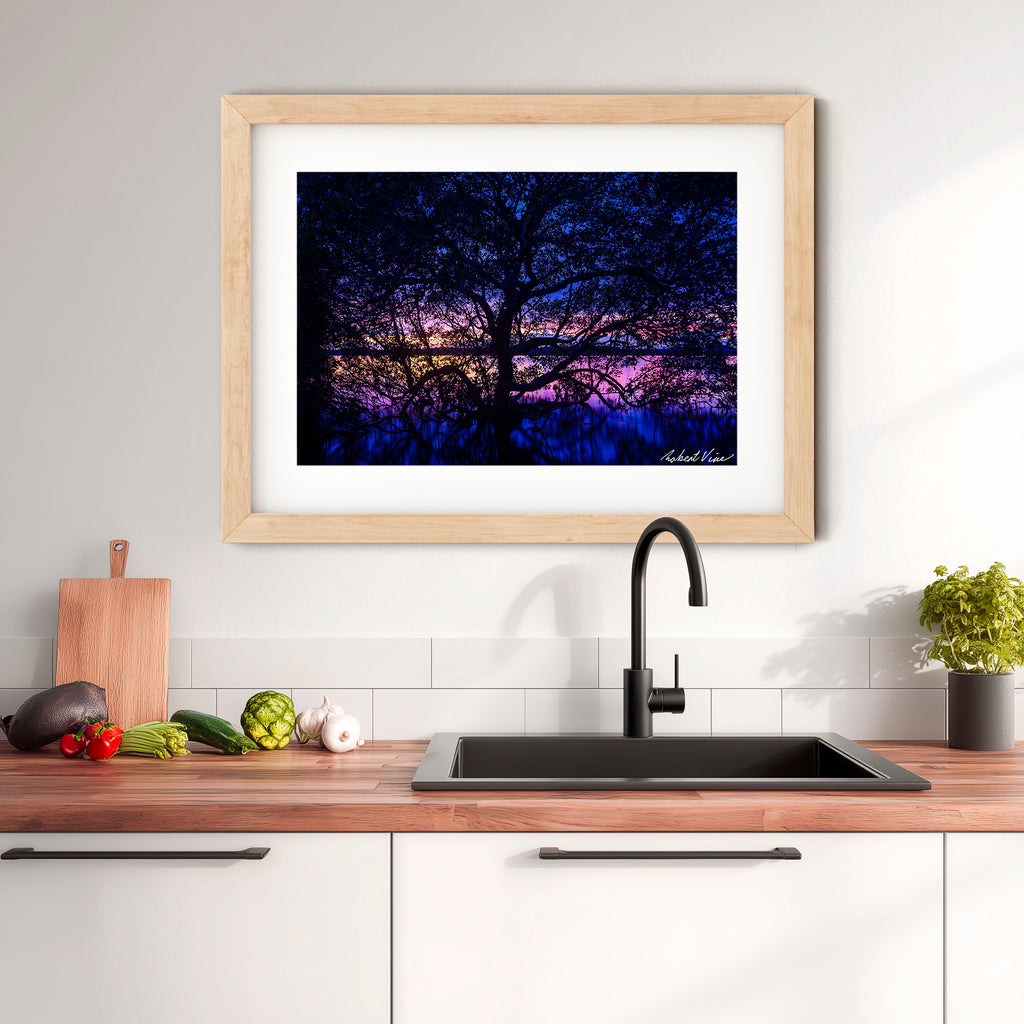 Twilight Mangrove, Lemon Tree Passage – Limited Edition Framed Print