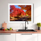 Crimson Avenue | Limited Edition Framed Autumn Print of Queanbeyan
