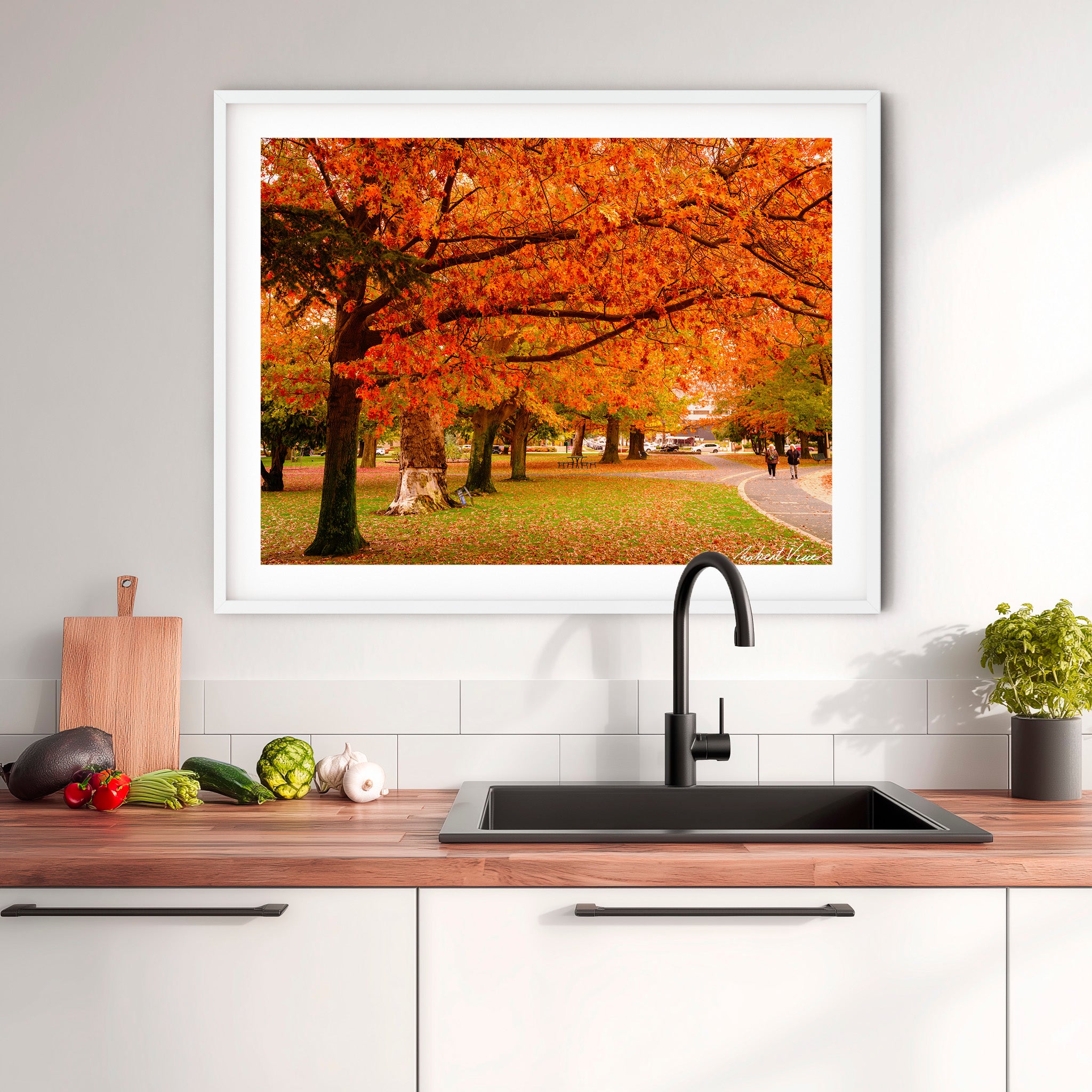 Crimson Canopy | Limited Edition Framed Print of Queanbeyan Park