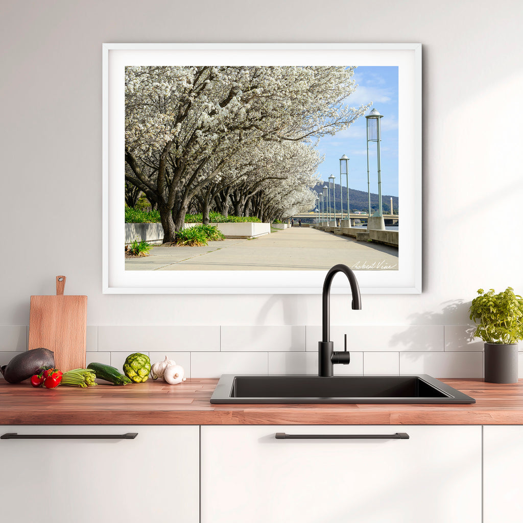 Blossoms Along the Lake – Limited Edition Framed Art Print