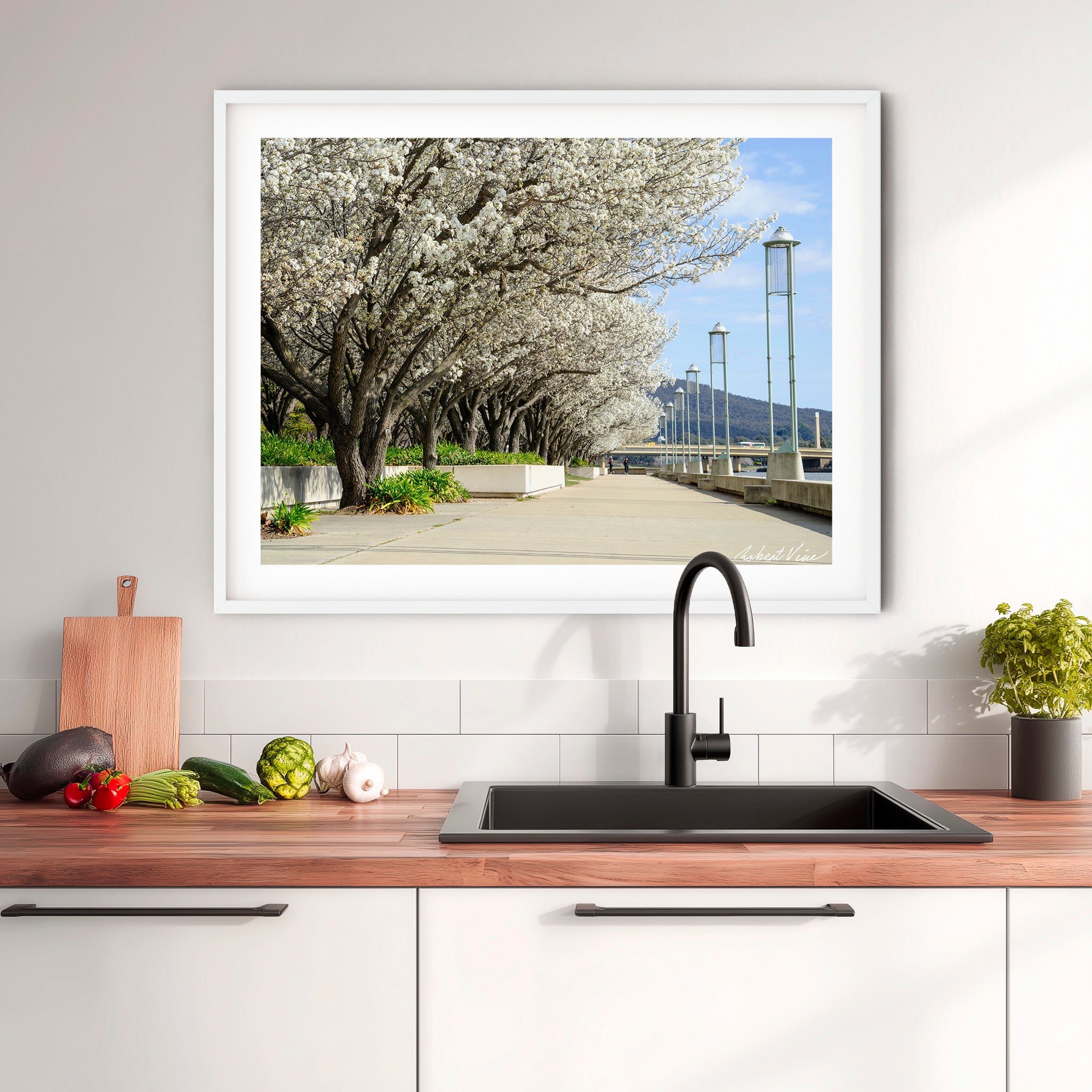 Blossoms Along the Lake – Limited Edition Framed Art Print