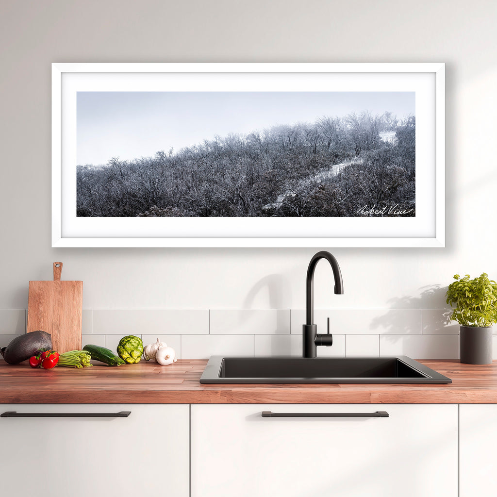 Snowfall in the Bare Eucalypts – Mount Selwyn Landscape Art Print by Robert Vine