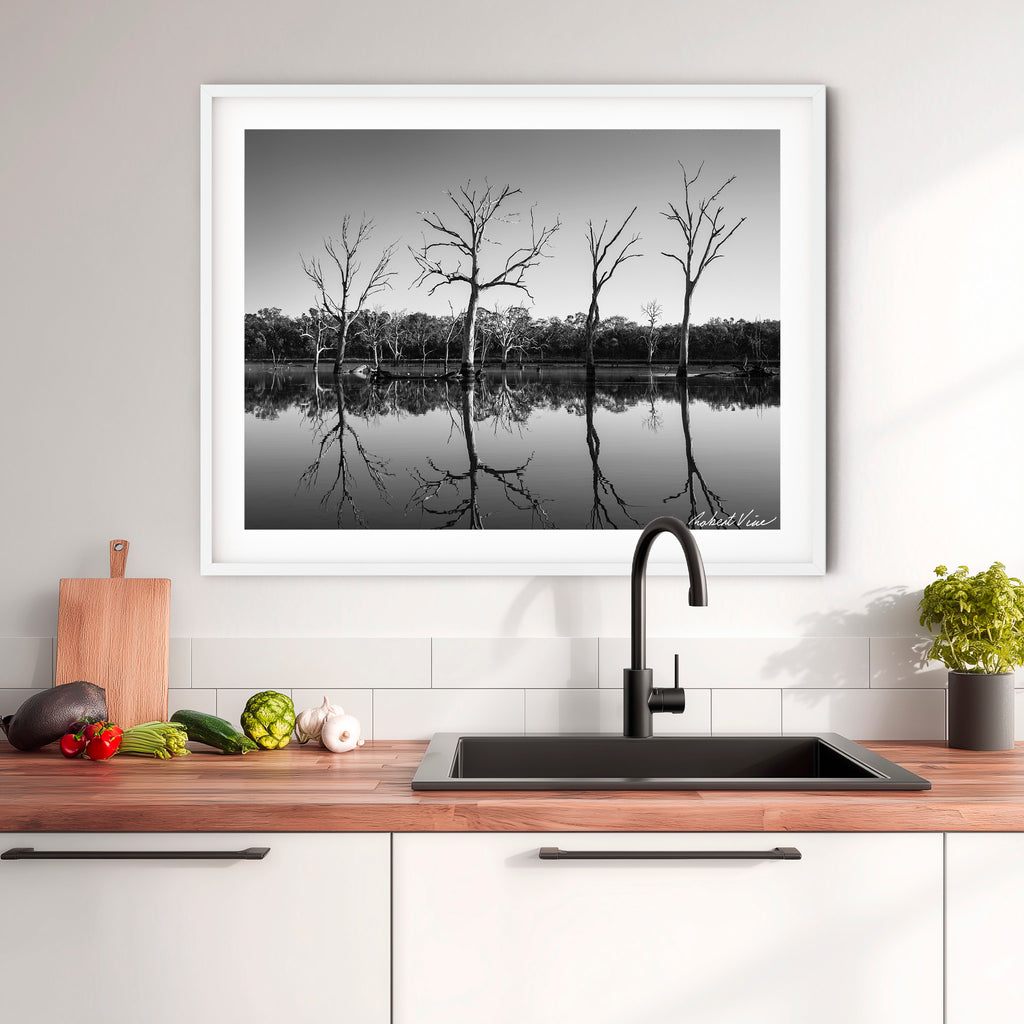 Silent Reflections – Mulligans Flat Wetlands Limited Edition Framed Art Print