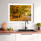 Autumn Boulevard | Limited Edition Framed Print of Queanbeyan
