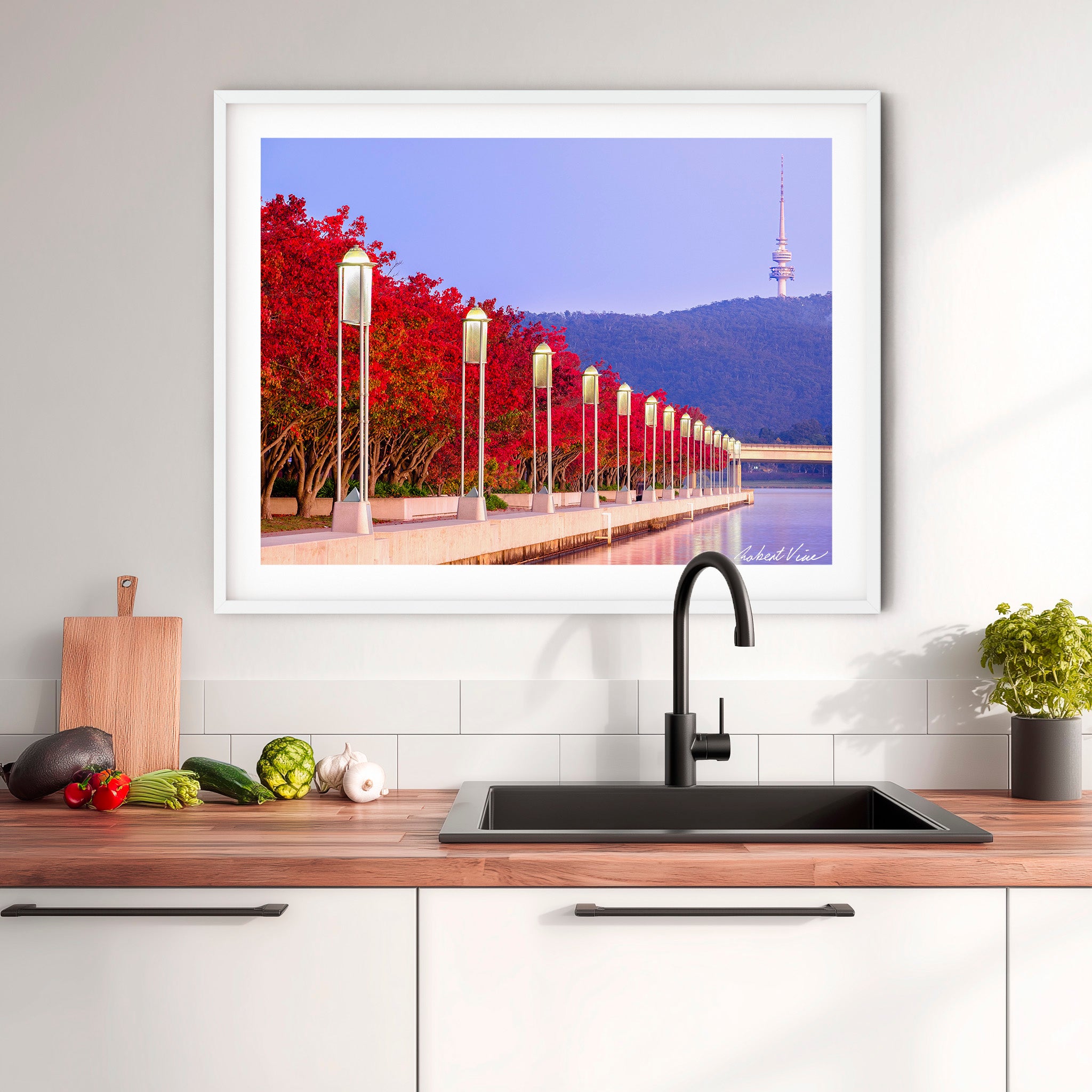 Autumn Colour at Lake Burley Griffin – Canberra Red Trees & Telstra Tower Fine Art Print by Robert Vine