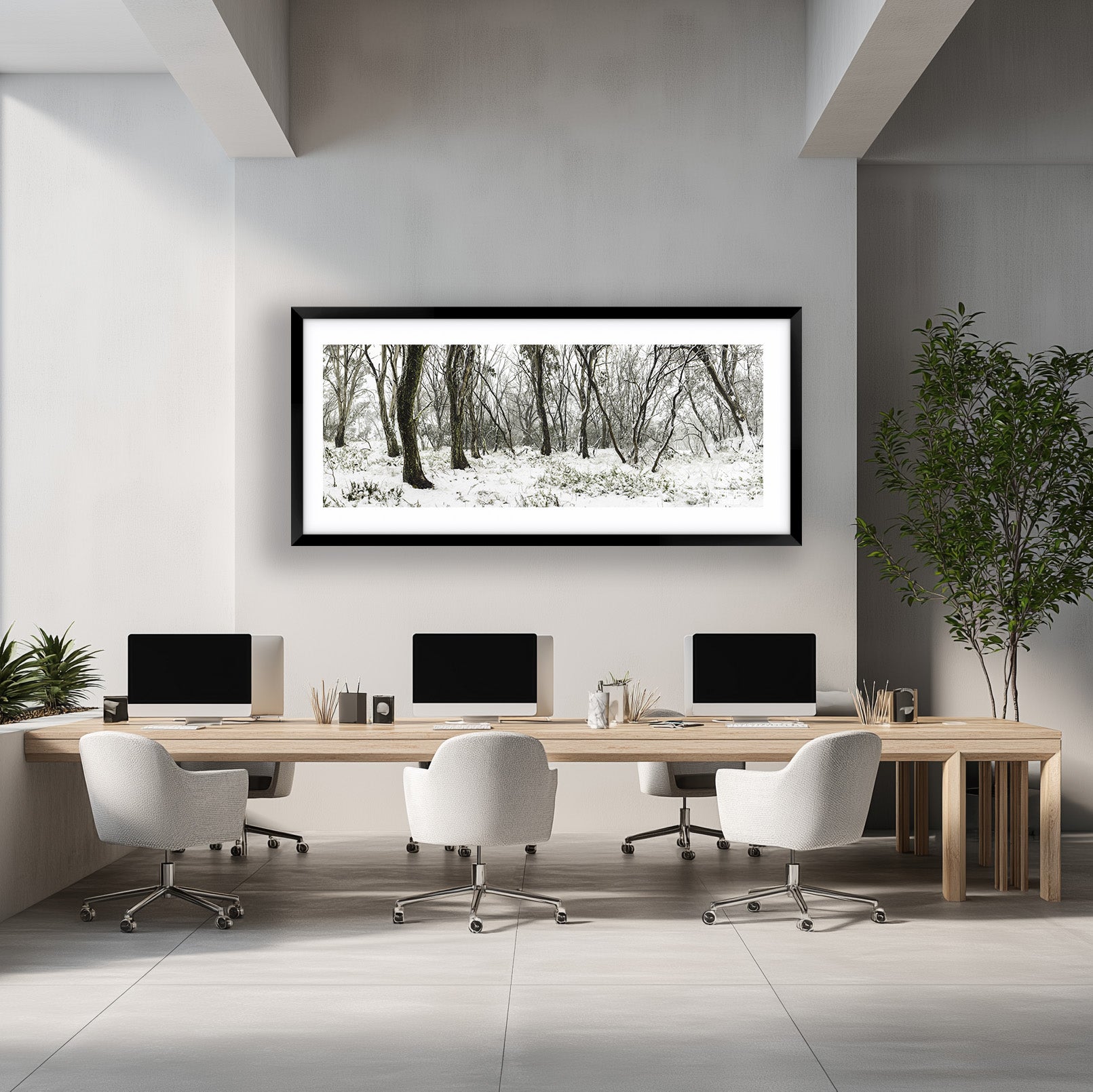 Snow Gums in Winter — Australian Alpine Landscape Photography by Robert Vine | Fine Art Print