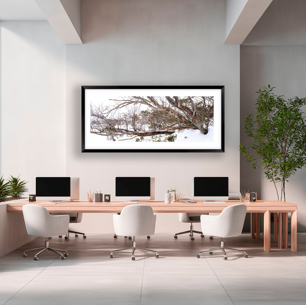 Snow Gum Tapestry – Perisher | Limited Edition Framed Landscape Print by Robert Vine