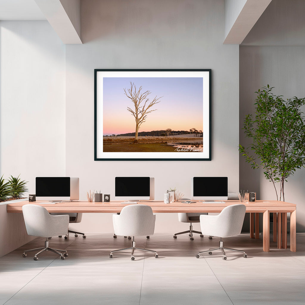 Winter Sentinel — Mulligans Flat Wetlands Limited Edition Framed Print
