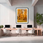 Autumn Sentinel | Limited Edition Framed Print of Queanbeyan