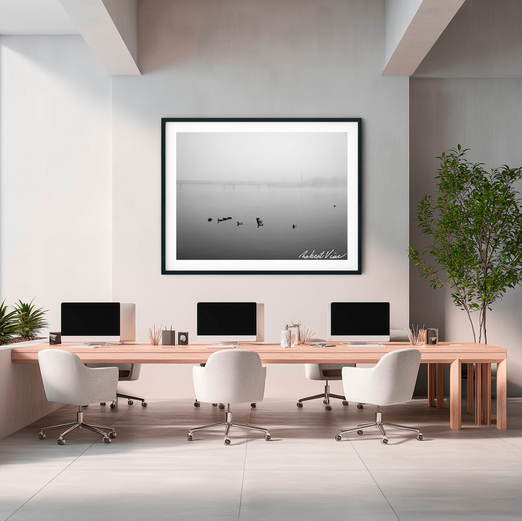 Fogbound Morning – Lake Burley Griffin, Canberra | Limited Edition Framed Print